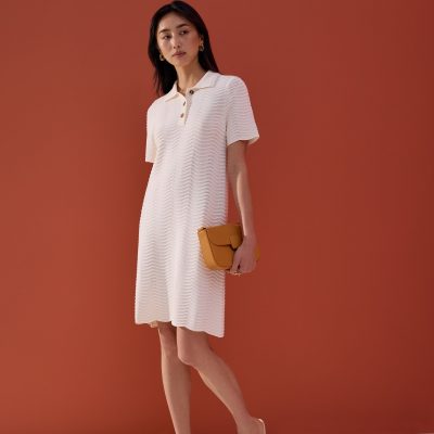 Wavy Knit Collared A-Line Mini Dress