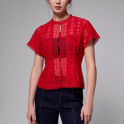 Lace Round Neck Fit & Flare Top