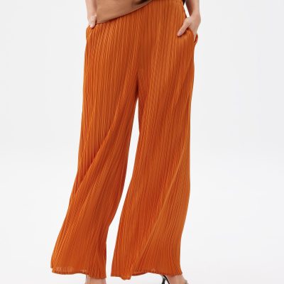 Leggy??Anh Plissé Wide Leg Pants