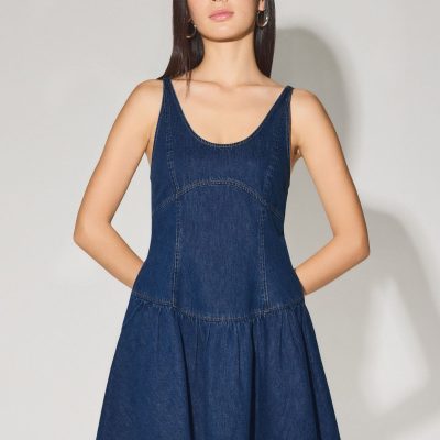 Denim Scoop Neck Fit & Flare Mini Dress